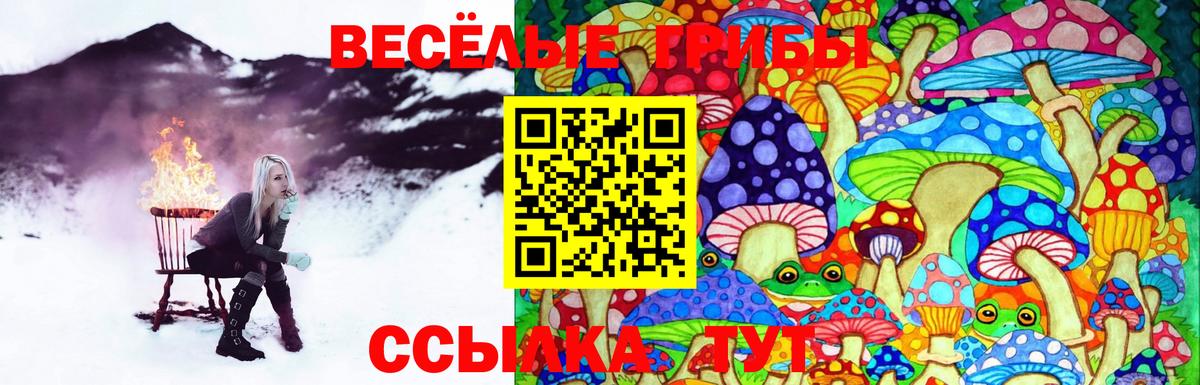 Псилоцибиновые грибы Psilocybe  Псилоцибиновые грибы Psilocybine cubensis  Великий Устюг  Вход с VPN 